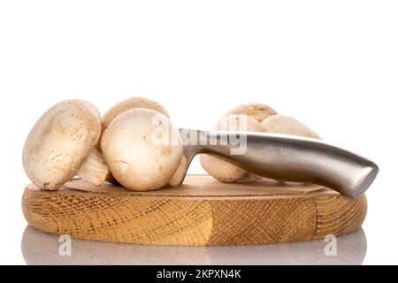 Plusieurs champignons frais bio entiers champignon sur un plateau rond en bambou avec un couteau en métal, gros plan, sur fond blanc. Banque D'Images