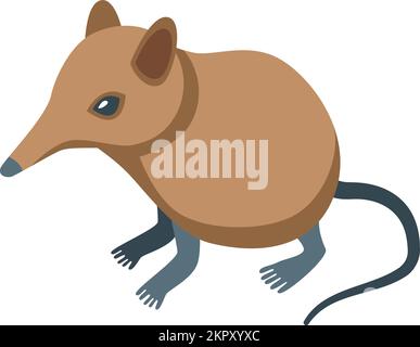 Vecteur isométrique de l'icône de la merde africaine. Animal mammifère. Image de la souris Illustration de Vecteur