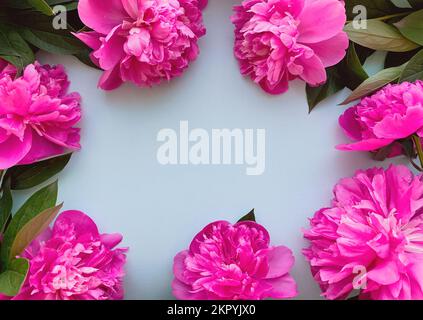 Composition des fleurs. Cadre fait de fleurs roses pivoines sur fond bleu Banque D'Images