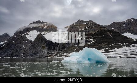 Gros plan d'une banquise flottant avec des montagnes côtières en arrière-plan, Burgerbukta, Isbjornhamna, Norvège, Svalbard, Royaume de Norvège Banque D'Images