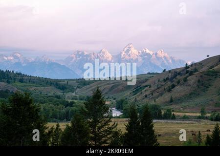 Matin le long de la rivière gros-ventre, près de Kelly, parc national de Tetons, Moran, Wyoming, ÉTATS-UNIS. Banque D'Images