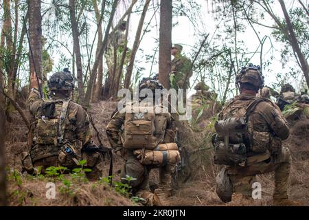 ÉTATS-UNIS Soldats affectés à la Compagnie Alpha, 1st Bataillon, 27th Infantry Regiment, 2nd Brigade combat Team, 25th Infantry Division, train des tactiques de manœuvre pendant l'entraînement du joint Pacific multinational Readiness Centre (JPMRC) sur l'île d'Oahu, HI, 5 novembre 2022. Les rotations d'entraînement du JPMRC 23-01 nous permettent de répéter le mouvement et la manœuvre stratégiques, de s'intégrer aux alliés et aux partenaires et de démontrer les contributions uniques de la Division d'infanterie 25th à la Force interarmées. Banque D'Images