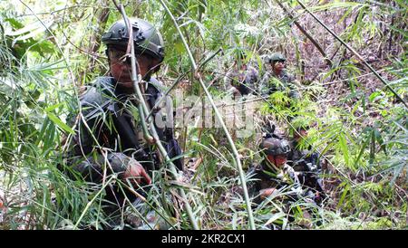 Des membres de la police nationale philippine-Force d'action spéciale et du groupe des 1st forces spéciales effectuent un mouvement tactique sous dissimulation lors de l'entraînement conjoint combiné d'échange Balance piston à Subic, Philippines, le 12 novembre 2022. Le piston d'équilibrage est conçu pour améliorer la sécurité régionale et garantir des réponses efficaces aux crises régionales en réunissant une force multinationale robuste pour répondre aux objectifs communs et aux engagements de sécurité dans l'Indo-Pacifique. Une alliance de défense solide et tournée vers l'avenir entre les États-Unis et les Philippines, enracinée dans l'histoire, contribue à favoriser une région Indo-Pacifique libre et ouverte où tout le monde Banque D'Images