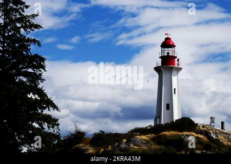 Lighthouse Park à West Vancouver Banque D'Images