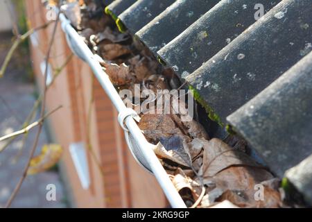 Canalisation de gouttière obstruée avec des feuilles tombées. Concept de nettoyage des gouttières de toit. Banque D'Images