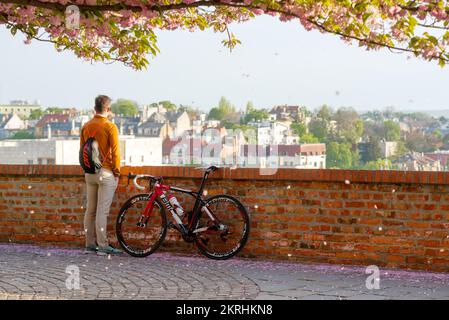 Homme avec un pied à vélo qui regarde la vue sur la ville tandis que les pétales de sakura tombent Banque D'Images