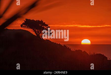 Swansea, Royaume-Uni. 29th novembre 2022. Ce matin, le soleil se lève sur le Canal de Bristol à Langland Bay, Swansea. Credit: Phil Rees/Alamy Live News Banque D'Images