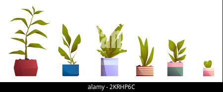 Plantes dans des pots pour la décoration intérieure de maison et de bureau. Vases avec fleurs, plantes à la maison avec feuilles vertes isolées sur fond blanc, illustration de dessin animé vectoriel Illustration de Vecteur