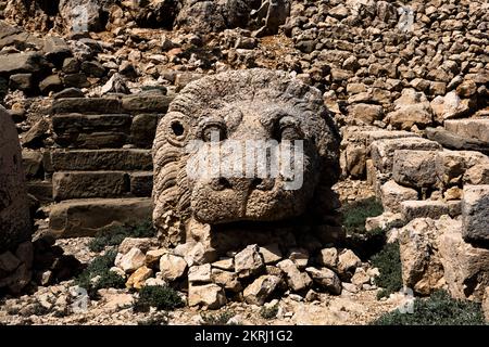 Mont Nemrut, Nemrut Dagi, terrasse est, statue de la tête du lion, Royaume de Commagène, Kahta, province d'Adıyaman, Turquie, Asie Banque D'Images