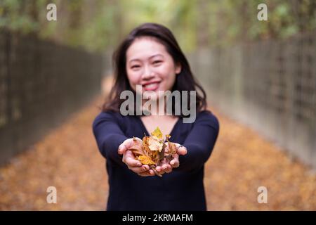 Jeune femme asiatique gaie avec des cheveux foncés dans un chandail noir debout sur une allée dans le jardin et montrant des feuilles jaunes dans les mains le jour de l'automne Banque D'Images