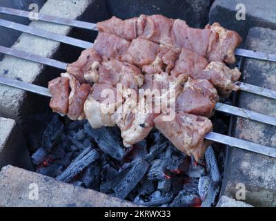 viande crue sur quatre brochettes grillées sur des charbons de briques, brochettes de porc classiques dans la première étape de la cuisson sur un feu de fumée lors d'un voyage de camping Banque D'Images