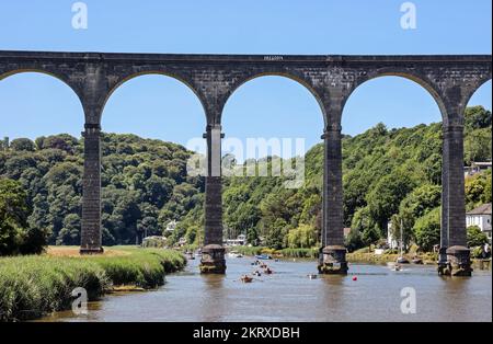 Le viaduc de Tamar Valley Railway à Calstock traversant la rivière Tamar. Les petits bateaux à rames sous les impressionnantes arches s'affrontent au reg. Annuel Banque D'Images