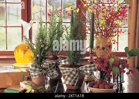 Arbres de Noël miniatures dans des pots de plantes sur la table Banque D'Images
