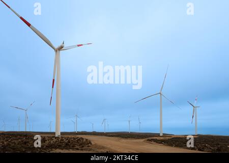 Les moulins à vent de wind farm, région de Coquimbo, Chili Banque D'Images