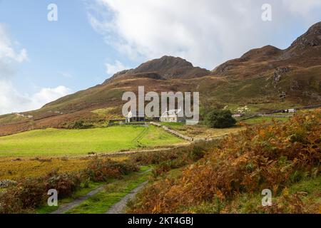 Ferme isolée à Uplands à Ty'n-Llidiart Cregennan, Nr Llynnau, Parc National de Snowdonia, Gwynedd, Pays de Galles Banque D'Images