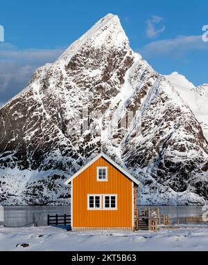 Une cabane traditionnelle de Rorbu jaune avec le sommet du mont Olstiden comme un arrière-plan spectaculaire dans le village de Sakrisoya, archipel des îles Lofoten, Norw Banque D'Images