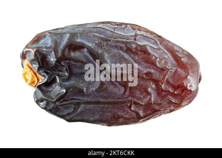 Phoenix dactylifera, Date palmier, date séchée, Echte Dattelpalme, Datteln, gros plan, fruits secs Banque D'Images
