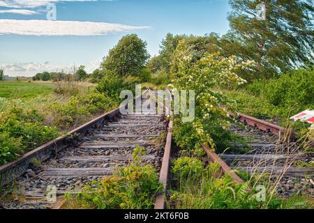 Vieux wagons et voies sur l'ancienne ligne de chemin de fer à Fischland-Darß, Bresewitz, Mecklembourg-Poméranie occidentale Banque D'Images