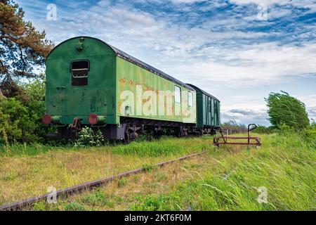 Vieux wagons et voies sur l'ancienne ligne de chemin de fer à Fischland-Darß, Bresewitz, Mecklembourg-Poméranie occidentale Banque D'Images