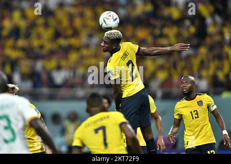 Doha, Catar. 29th novembre 2022. F. Torres de l'Equateur pendant le match entre l'Equateur et le Sénégal, valable pour la phase de groupe de la coupe du monde, qui s'est tenue au stade international de Khalifa à Doha, au Qatar. Crédit: Richard Callis/FotoArena/Alamy Live News Banque D'Images