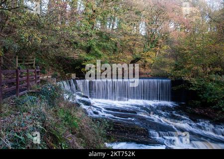 Autour du Royaume-Uni - Weir on the River Yarrow, Yarrow Valley Country Park, Chorley Banque D'Images