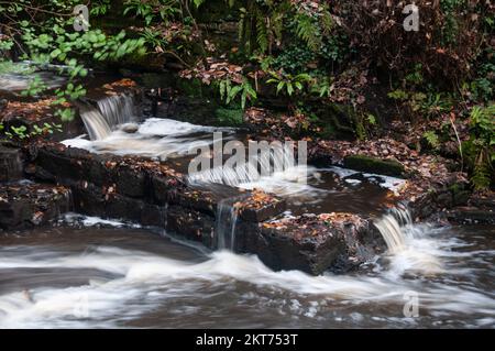 Autour du Royaume-Uni - Fish Ladder sur la rivière Yarrow, Yarrow Valley Country Park, Chorley Banque D'Images