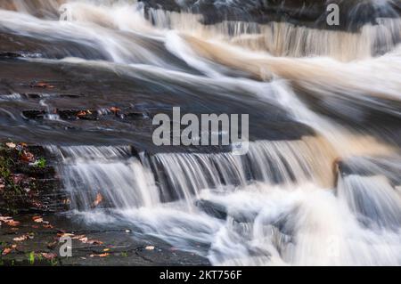 Autour du Royaume-Uni - Yarrow River, Yarrow Valley Country Park, Chorley Banque D'Images