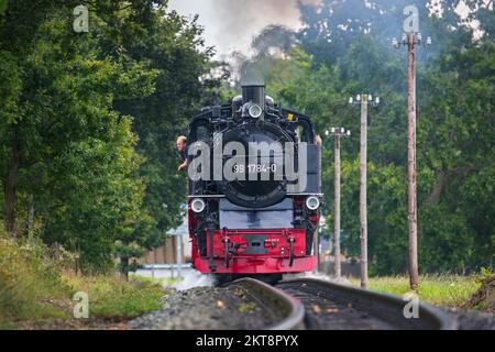 Rasender Roland vapeur locomotive 99 1784 sur le Rügen voie étroite / Rügensche Bäderbahn sur l'île Ruegen, Mecklenburg-Vorpommern, Allemagne Banque D'Images