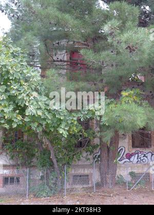 Abandonnés barracques de cavalerie avant WW2 à Kodra, Kalamaria, Thessalonique, Grèce Banque D'Images