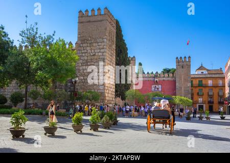 Jardins de l'Alcazar à Séville. Andalousie, Espagne Banque D'Images