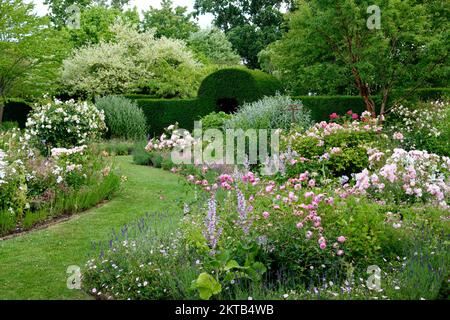 Paysage d'été vue sur le roseraie dans le Helmingham Hall et les jardins du Suffolk Banque D'Images