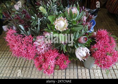 fleurs colorées au marché agricole traditionnel de funchals Banque D'Images