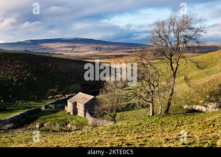 Vue sur le pic de Whernside dans le parc national de Yorkshire Dales, vue depuis High Birkwith, près de Horton-in-Ribblesdale, North Yorkshire, Royaume-Uni Banque D'Images