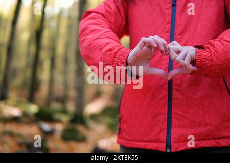 Concept de l'amour en Saint Valentin. Des mains en forme de cœur en hiver. Banque D'Images