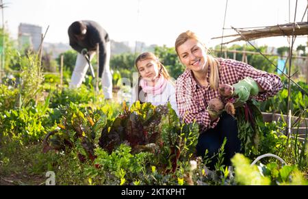 Agricultrices, femme et jeune fille, tenant des betteraves fraîches Banque D'Images