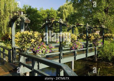 Étang et passerelle en bois décorée avec des paniers suspendus de jaune annuals et blanc, violet et rouge pétunia, Solenostemon - Coleus plantes au printemps. Banque D'Images