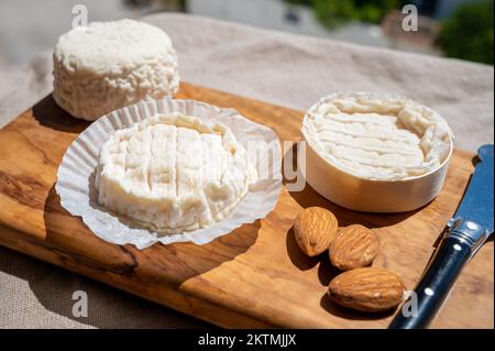 Fromages français Rocamadour et Saint-Marcellin servis sur une planche en bois d'olivier avec des amandes sur des lampes solaires Banque D'Images