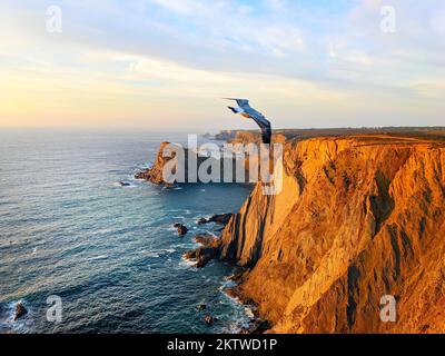 Mouette voléibg sur la côte d'Arrifana avec falaises rocheuses, paysage marin au coucher du soleil, Aljezur, Algarve, Portugal Banque D'Images