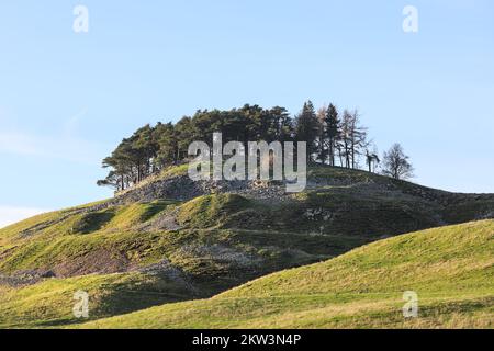 L'arbre couvrait la burial Mound de Kirkcarrion près de Middleton-in-Teesdale, Teesdale, comté de Durham, Royaume-Uni Banque D'Images