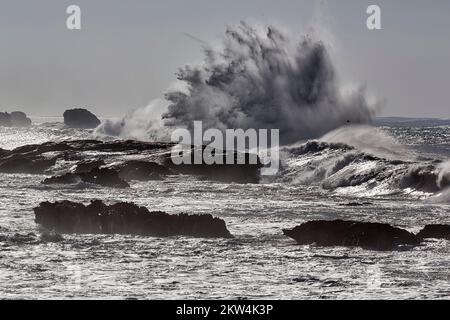 Mer torchère, énorme vague s'écrase bruyamment contre les rochers, éclaboussures, atmosphère menaçante, image symbolique, côte près d'Essaouira, Atlantique Banque D'Images