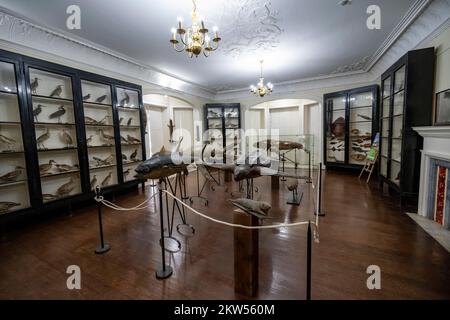 Salle d'exposition avec animaux farcis, Museo História Natural, jardin botanique, Jardim Botanico, Funchal, Madère, Portugal, Europe Banque D'Images