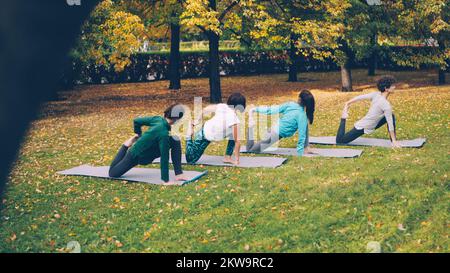 Les filles de vêtements de sport tendance font de l'exercice dans le parc municipal en se déplaçant d'une position à une autre sur des tapis de yoga. L'herbe verte et jaune et les arbres d'automne sont visibles dans le parc. Banque D'Images