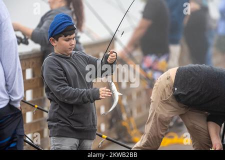 Garçon essayant de prendre un poisson pêché et flipping lors d'une matinée brumeuse à la jetée de pêche de Jacksonville Beach à Jacksonville Beach, Floride. (ÉTATS-UNIS) Banque D'Images