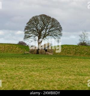 Giants Ring neolithic enterrement Ground près de Belfast Banque D'Images