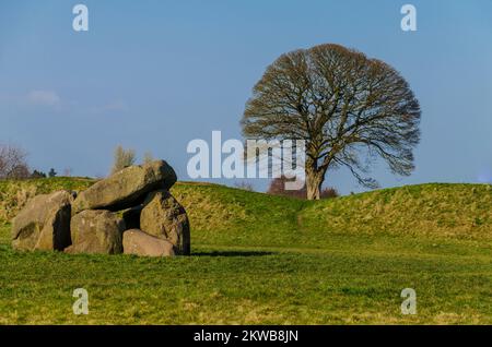 Giants Ring neolithic enterrement Ground près de Belfast Banque D'Images