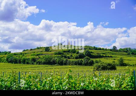 Tour drapeau près de Bad Dürkheim avec paysage environnant. Tour sur une colline avec vignes en premier plan. Banque D'Images