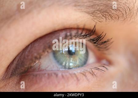 Iris vert avec réflexion, faible profondeur de champ. Banque D'Images