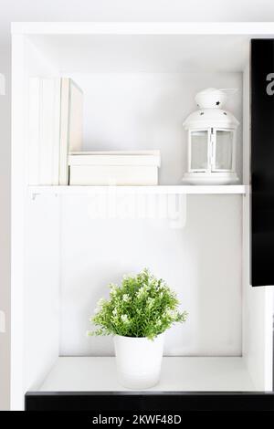 Gros plan de la bibliothèque noire blanche avec plantes décoratives et livre. Concept moderne d'interor Banque D'Images