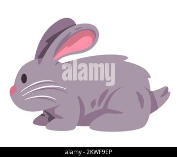 Lapins lapins lapins lapins ou lapin adorable adorable animal avec poils de fourrure de couleur grise Illustration de Vecteur