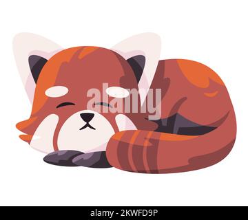 Panda rouge ailurus fulgens mignon animal dormant originaire de Chine Illustration de Vecteur
